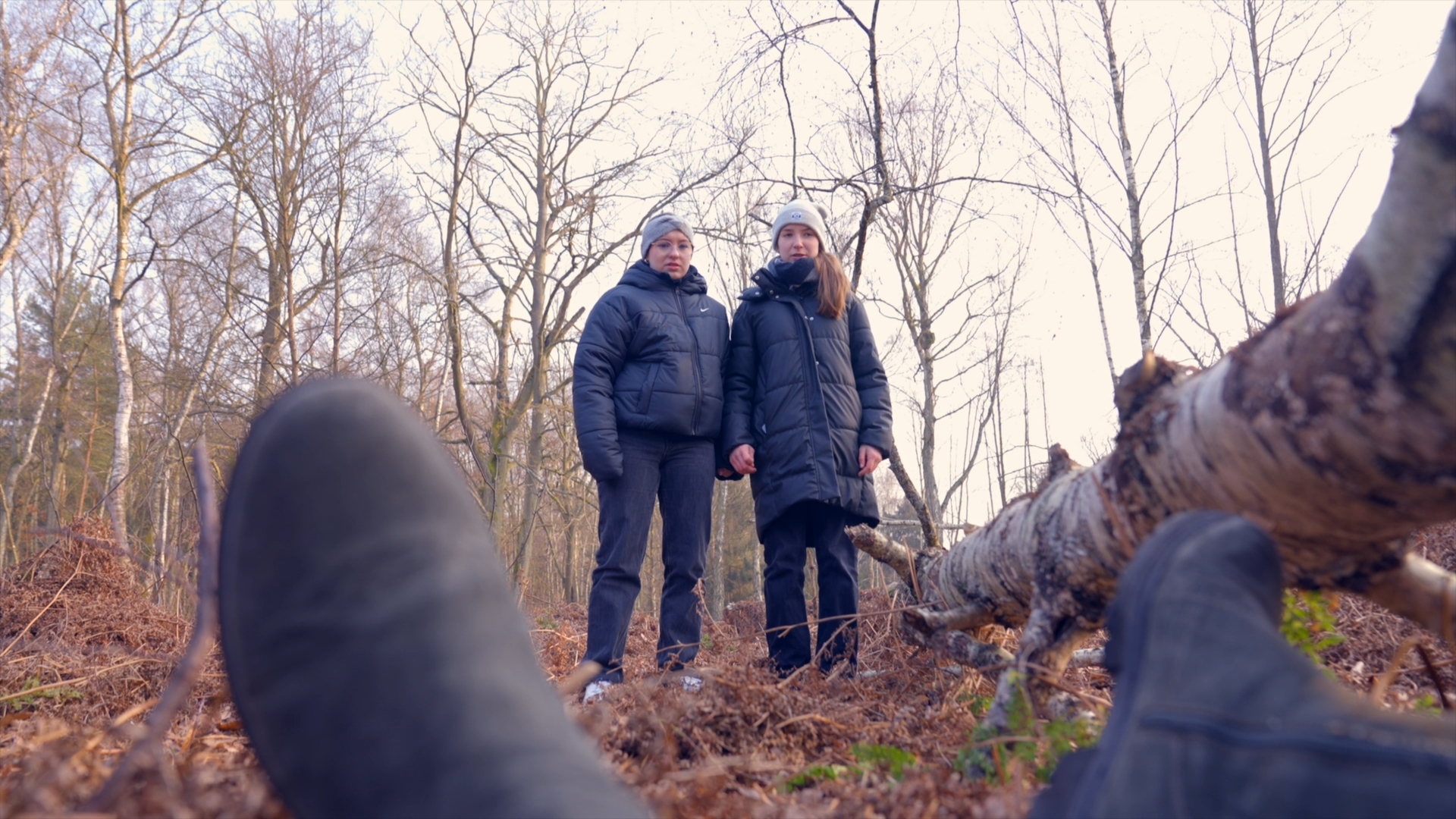  Unter Verdacht // Grünstreifen 2025 