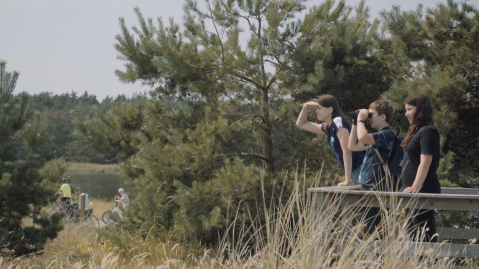  Die Reise zum Ottosee // GrünStreifen 2025 